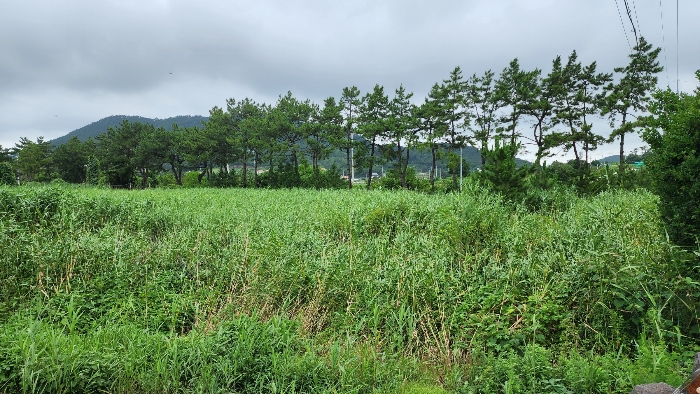 물건 사진 11