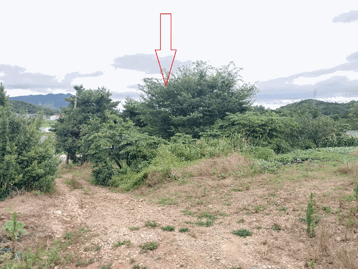 물건 사진 6