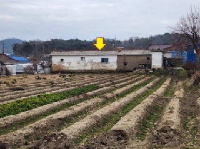 물건 사진 4