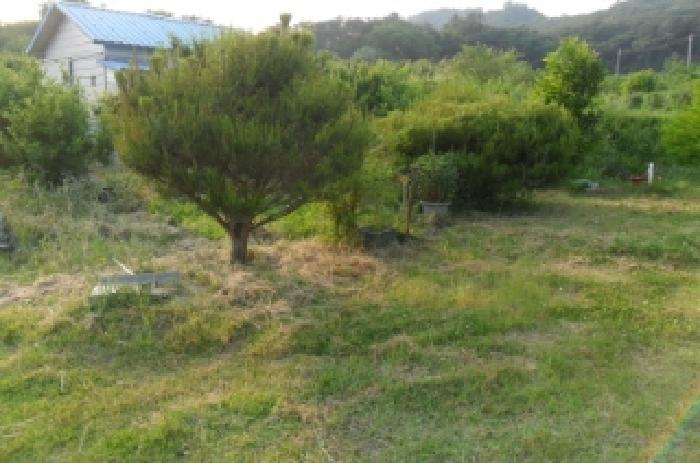 물건 사진 12