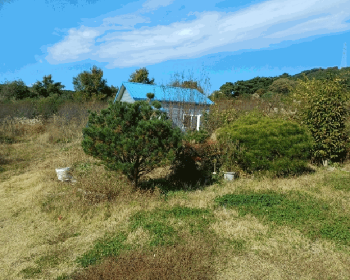 물건 사진 25