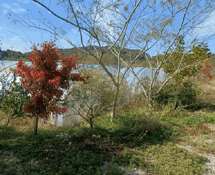 물건 사진 26