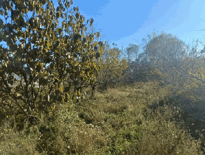 물건 사진 30