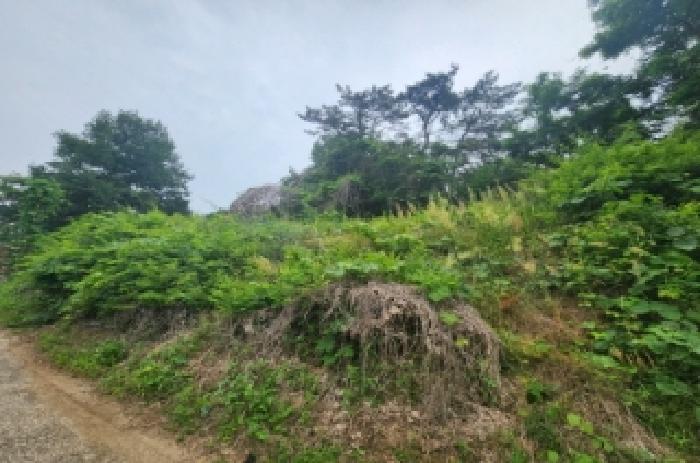 물건 사진 3