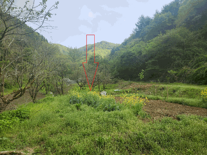 물건 사진 34