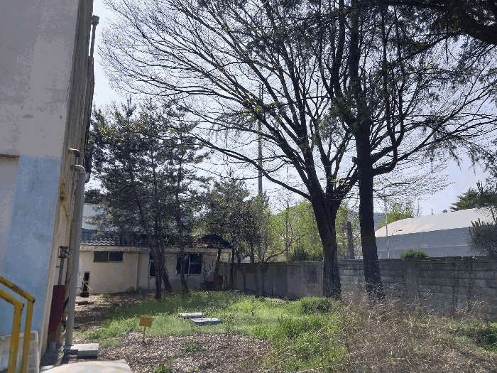 물건 사진 53