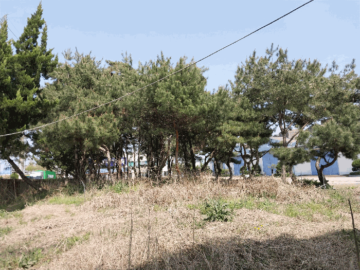 물건 사진 54
