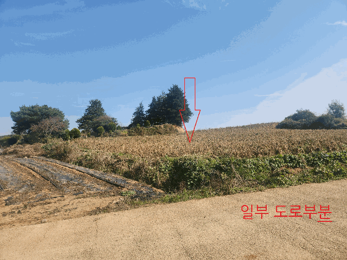 물건 사진 28
