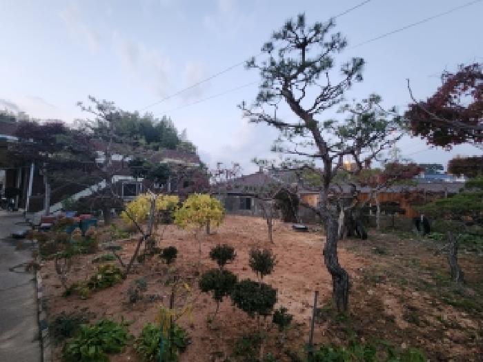 물건 사진 7