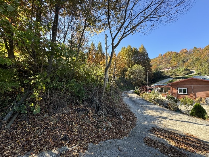 물건 사진 21
