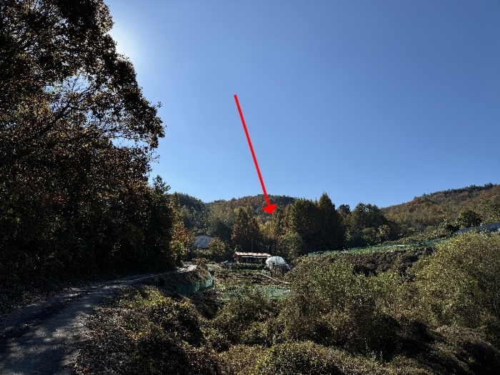 물건 사진 22
