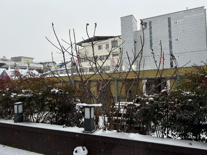 물건 사진 11