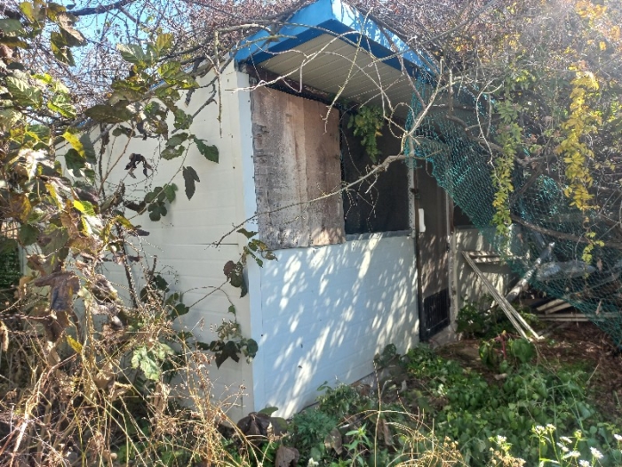 물건 사진 44