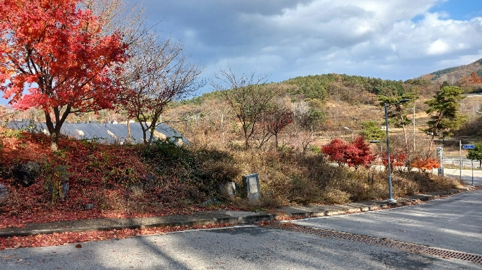 물건 사진 22