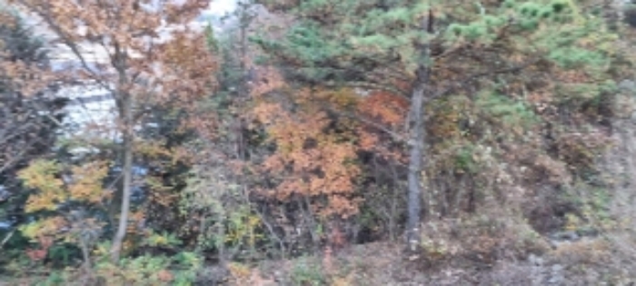 물건 사진 4
