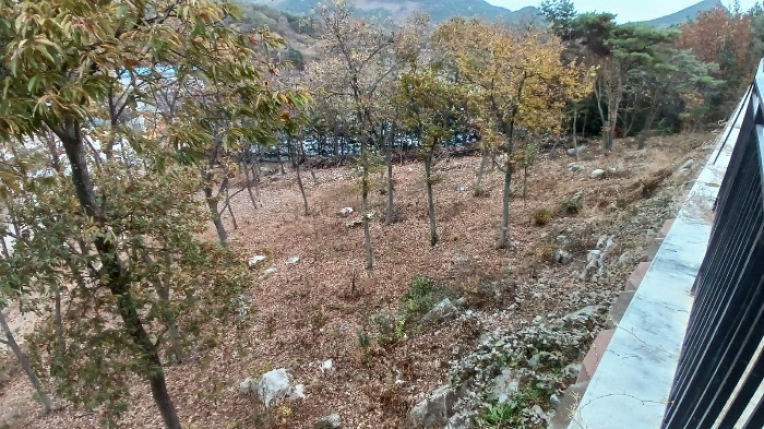 물건 사진 48