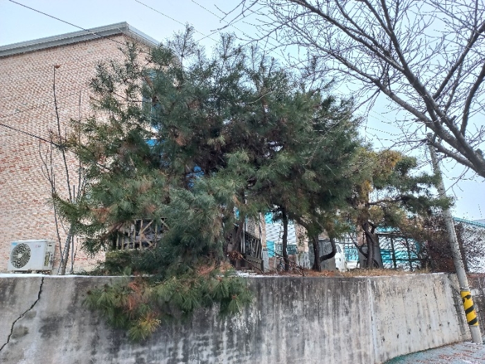 물건 사진 21