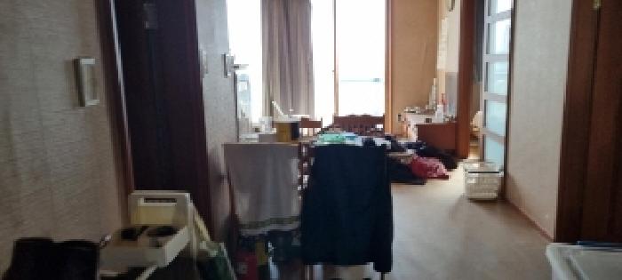 물건 사진 229
