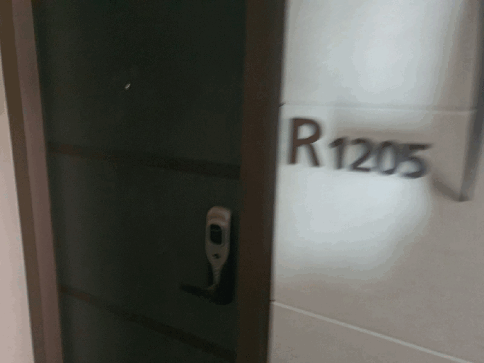 물건 사진 241