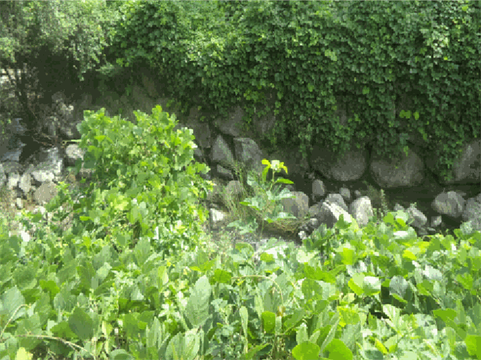 물건 사진 33