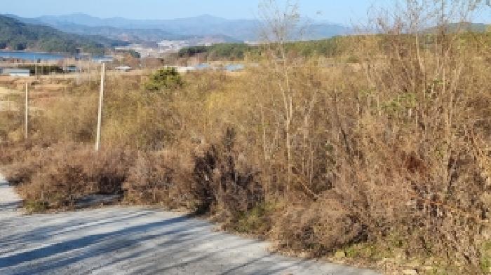 물건 사진 28