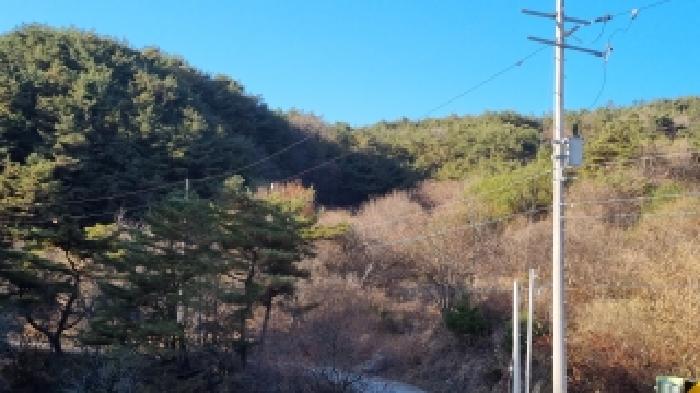 물건 사진 55