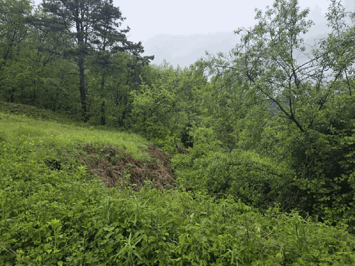 물건 사진 35