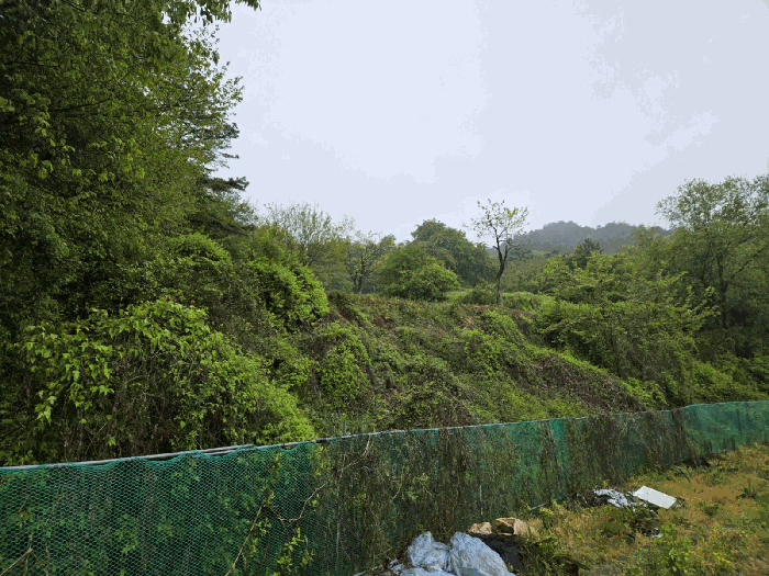 물건 사진 37
