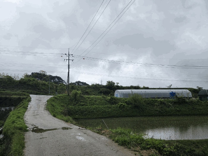 물건 사진 38