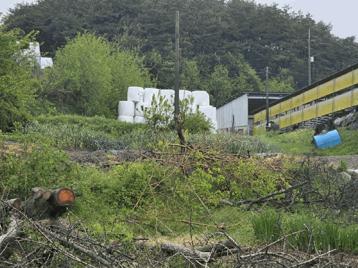 물건 사진 41