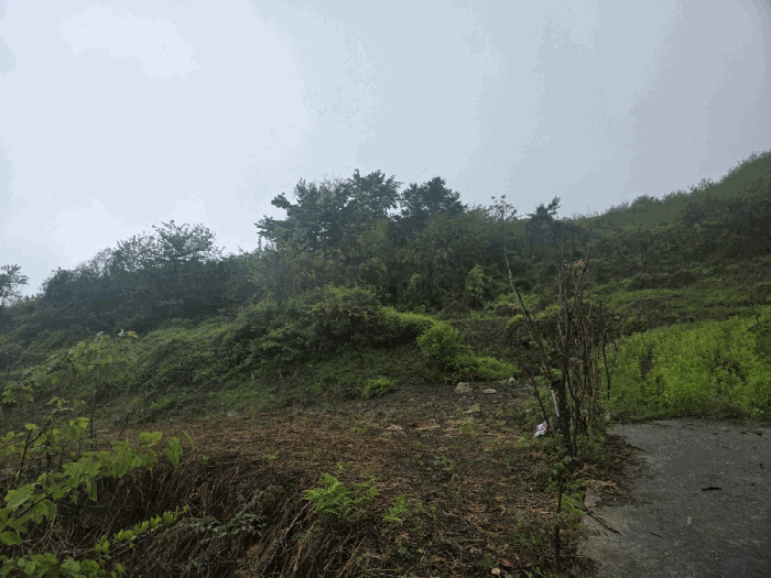 물건 사진 45