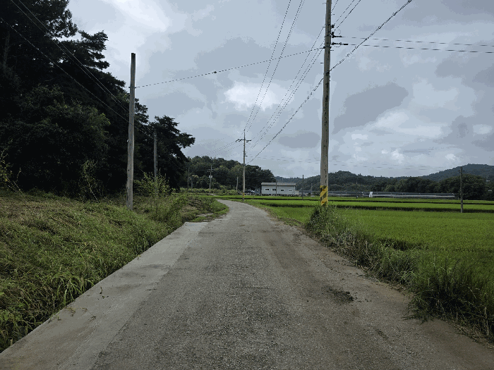 물건 사진 16