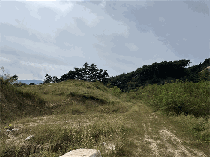물건 사진 50