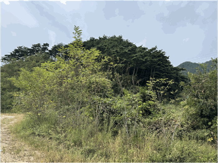 물건 사진 59
