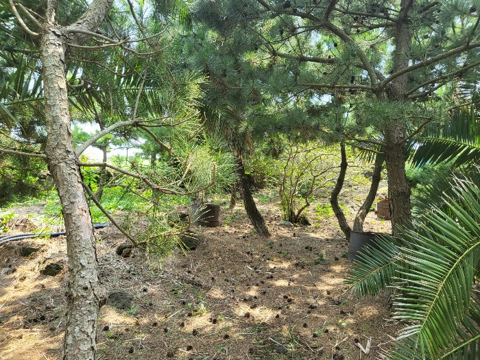 물건 사진 63