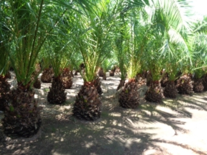 물건 사진 30