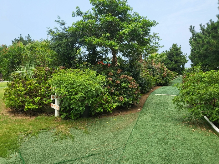 물건 사진 46