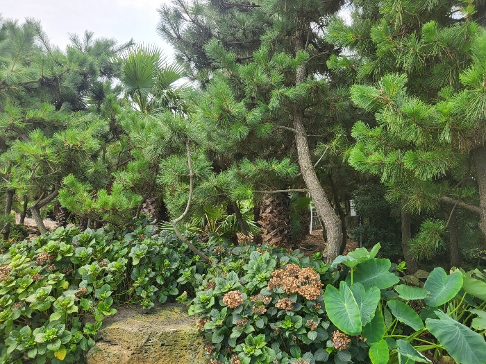 물건 사진 52