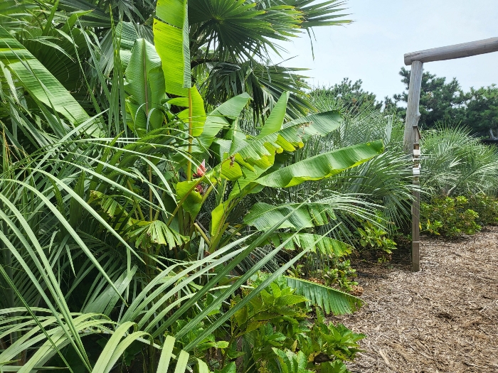 물건 사진 84