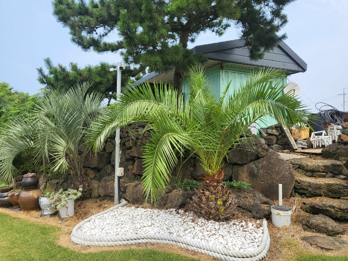 물건 사진 93