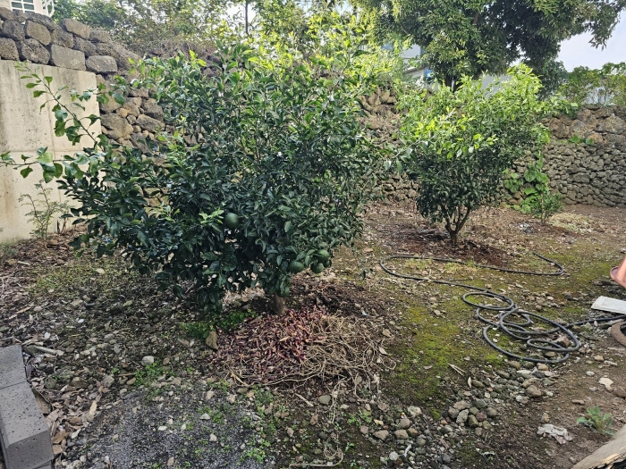 물건 사진 32