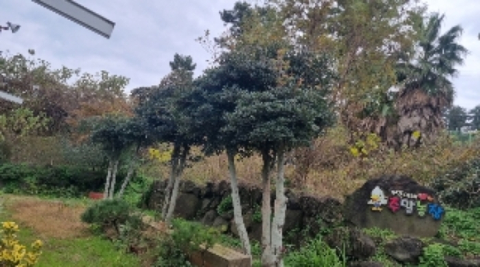 물건 사진 28