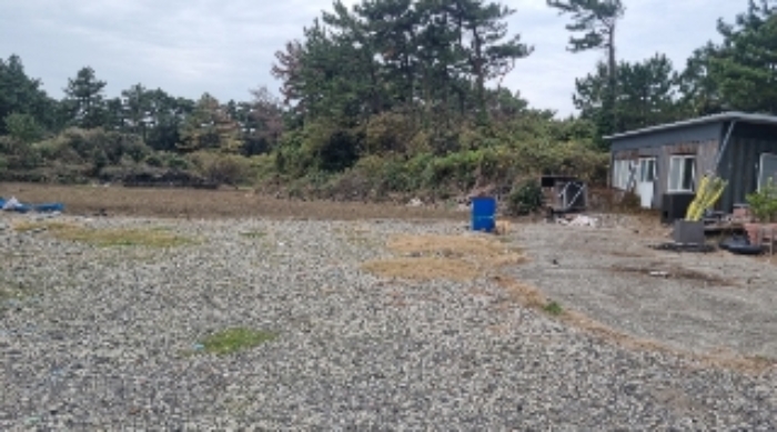 물건 사진 1