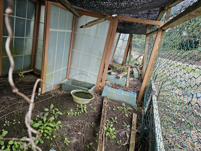 물건 사진 55