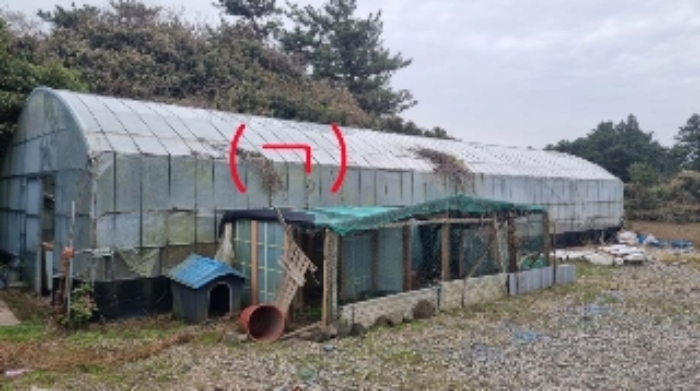 물건 사진 12