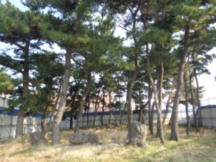 물건 사진 11