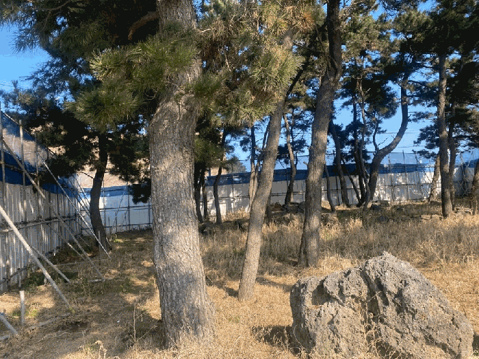 물건 사진 19
