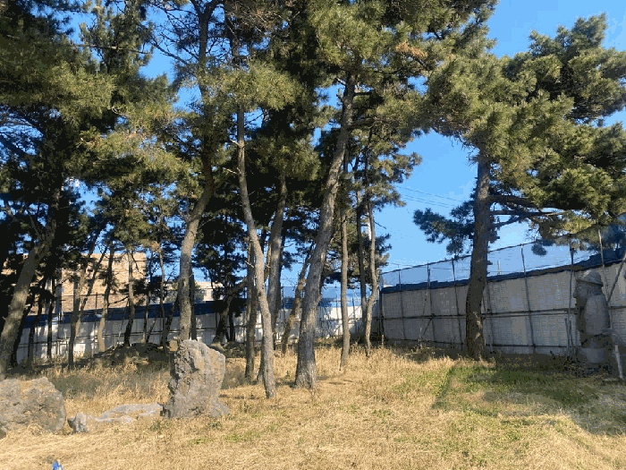 물건 사진 20