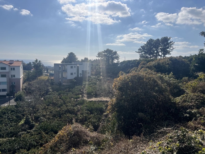 물건 사진 14