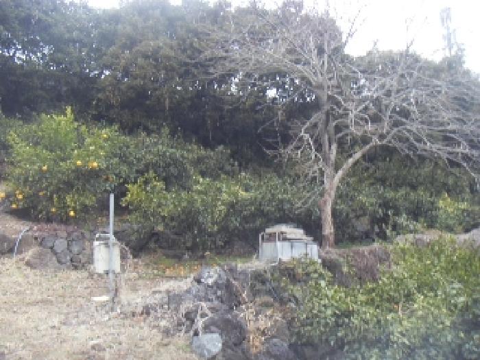 물건 사진 10